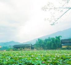 大田湿地人家
