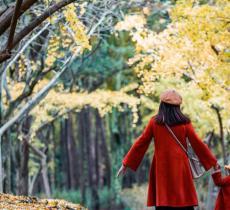 上海共青国家森林公园花艺展示馆...