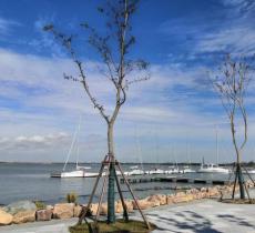 滴水湖壹号码头