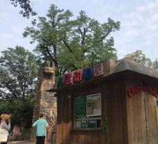 北京动物园-儿童动物园