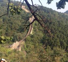 伊斯兰教经学院礼拜殿