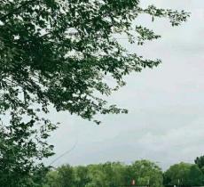 大兴新城滨河森林公园