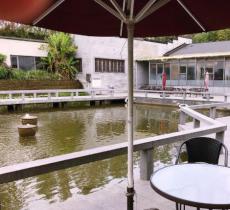 金桥市民体育休闲公园