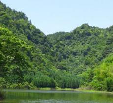 莫家沟