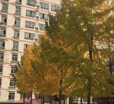 奥林匹克教育博物馆