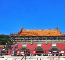 森林公园-向日葵园