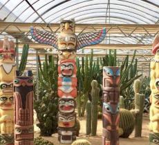 孙桥现代农业园