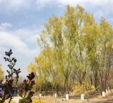 太阳宫体育休闲公园（北门）