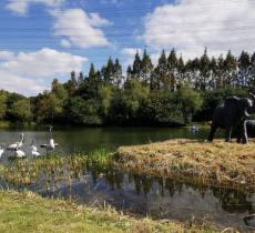外环林带普陀区新杨养护段