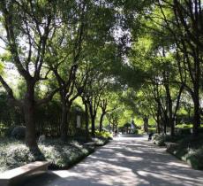 四平科技公园广场-庭院