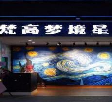 上海松江梵高梦境星空馆