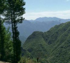 鸡心岭