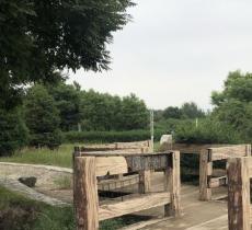 温榆河白各庄湖生态湿地