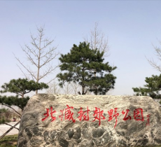 北臧村镇郊野公园