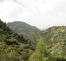 引针峰