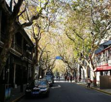 老城区休闲绿地