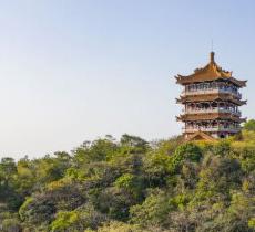 聚芳园