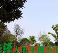 先锋公园