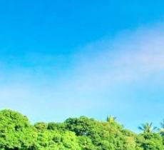 蓝洋温泉国家森林公园