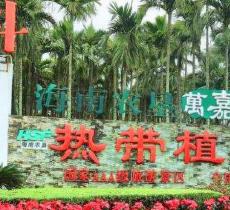 海南农垦万嘉果·热带经济植物观...