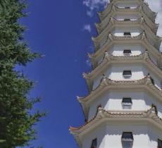 南山森林公园