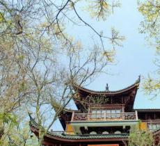 大阳山国家森林公园文殊寺景区