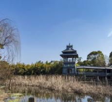 桃花岛
