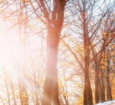 亚布力虎峰岭风景区