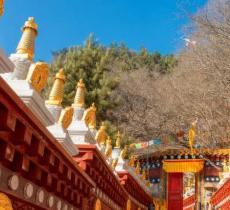 石佛沟国家森林公园