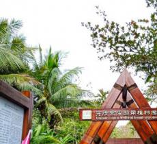 兴隆南药植物园
