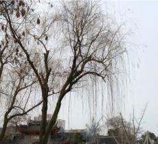 文昌阁