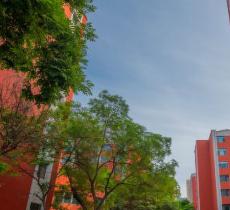 兰州大学(天水南路校区)