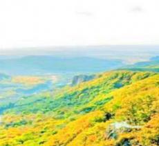 壹台山骆驼峰景区