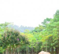 南沙大角山海滨公园