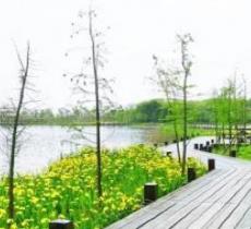龙灵山生态公园