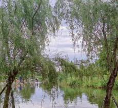 银星湾公园