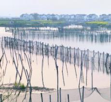 美人腿半岛风景区