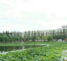观澜湖公园