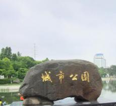 城市公园