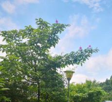 科学城体育公园