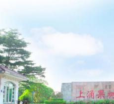 上涌果树公园