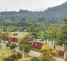 新塘公园