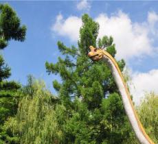 鸡冠山国家森林公园