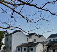 开弦弓村