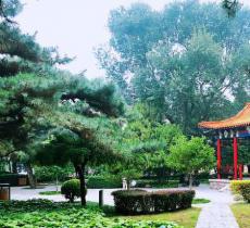 鲁迅公园