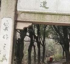 御道