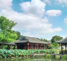 曾赵园