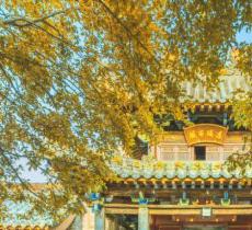 北大清真寺