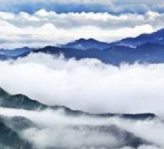 鸭石红豆杉景区