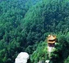 双子山原始森林公园